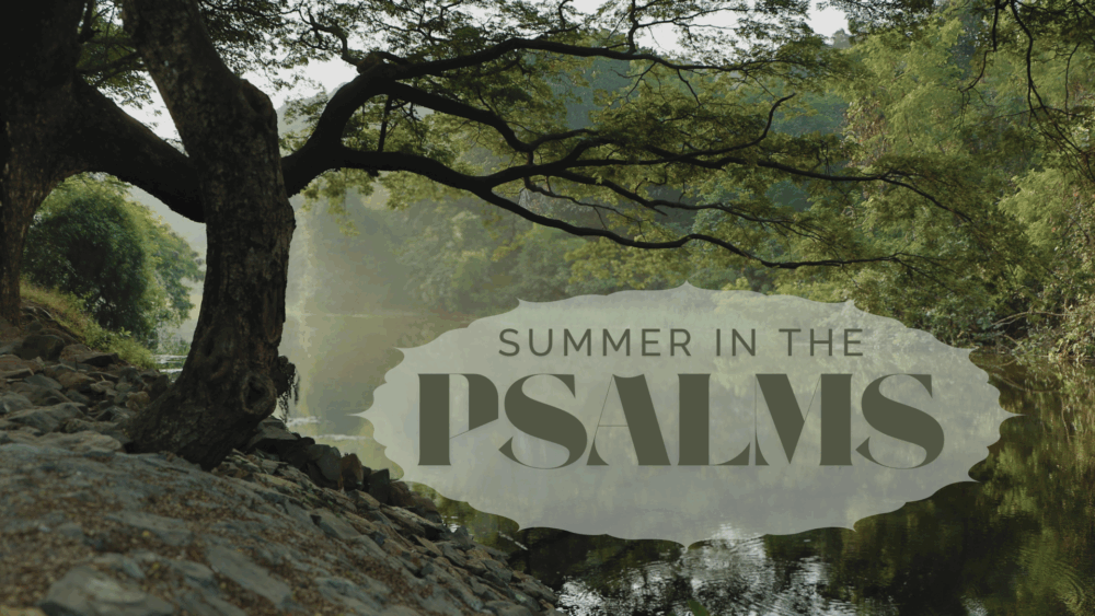 Summer in the Psalms